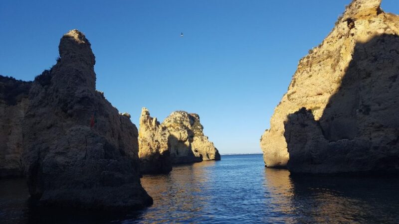Dolphin Watching and Local Caves - Booking and Cancellation Policy