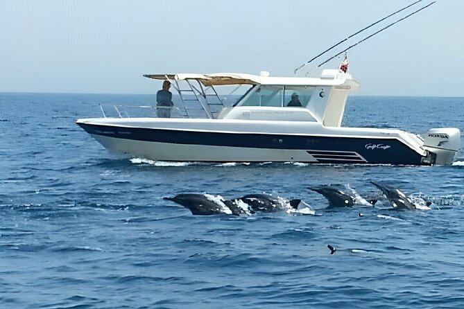 Dolphin Watching and Snorkeling Activity in Muscat - Accessibility and Group Size