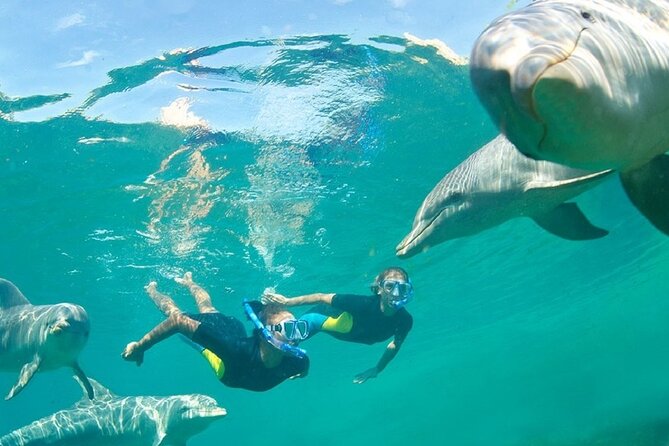 Dolphin Watching and Snorkeling Activity in Muscat - Booking and Cancellation Policy