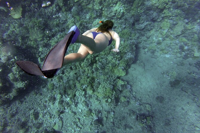 Dolphin Watching and Snorkeling Adventure in Key West - Meeting Location and Parking