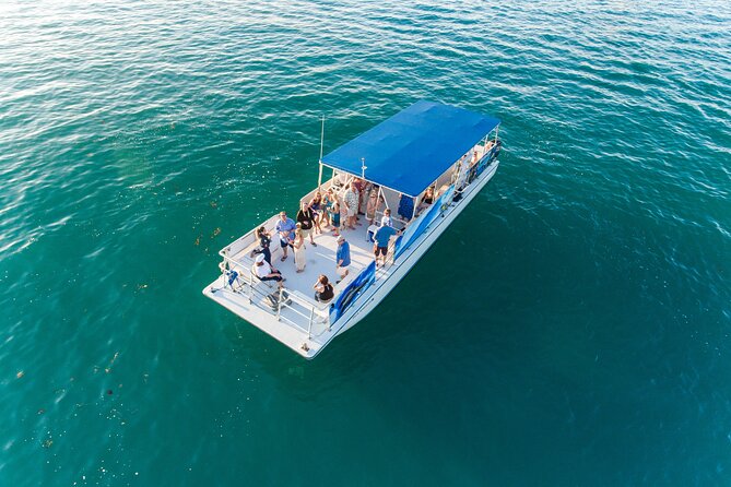 Dolphin Watching and Snorkeling Adventure in Key West - Tour Duration and Capacity