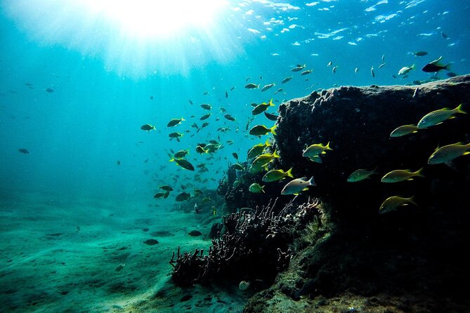 Dolphin Watching and Snorkeling Adventure in Key West - Cancellation Policy