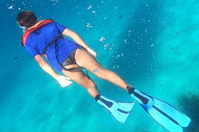 Dolphin Watching and Snorkeling in Figarolo in Sardinia - Additional Considerations