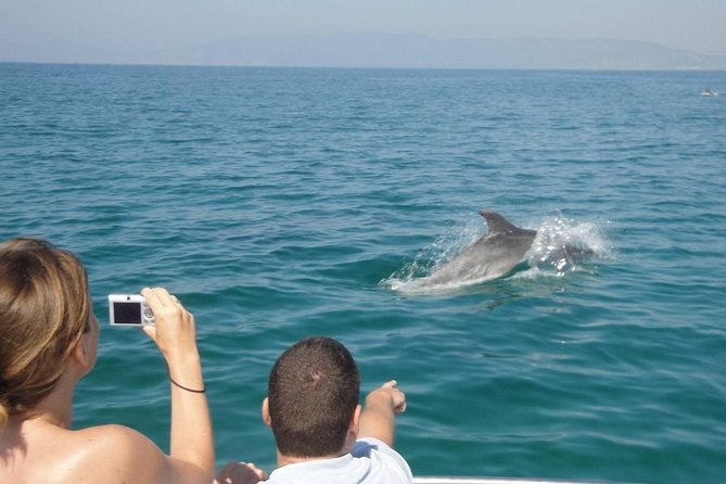 Dolphin Watching and Snorkeling Tour From Muscat - Dolphin Sighting and Snorkeling