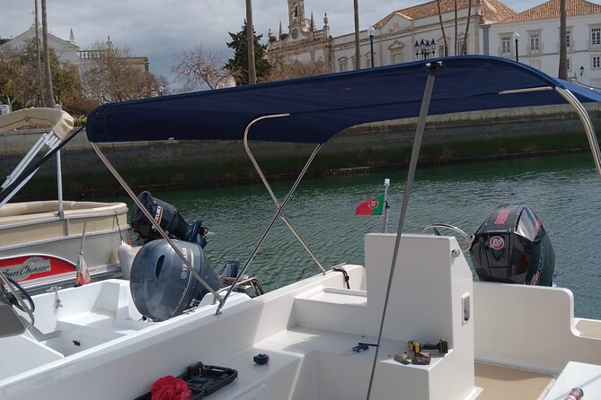 Dolphin Watching and Wildlife From Faro - Reviews and Feedback