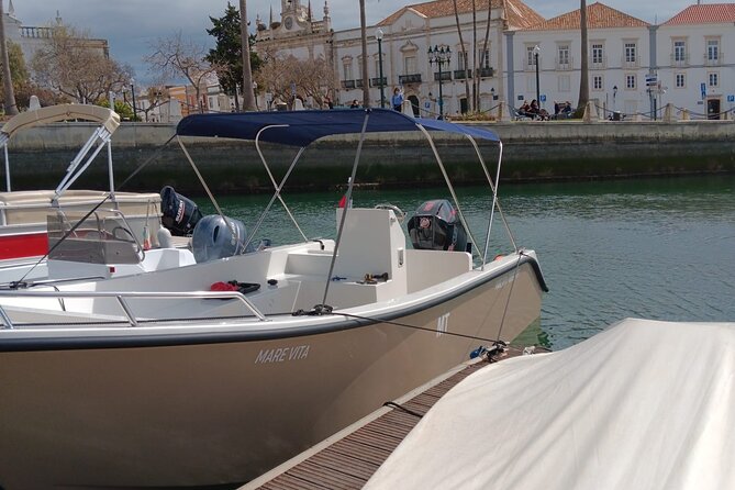Dolphin Watching and Wildlife From Faro - Booking Information