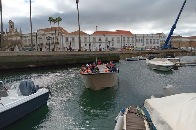 Dolphin Watching and Wildlife From Faro - Start Time and Duration