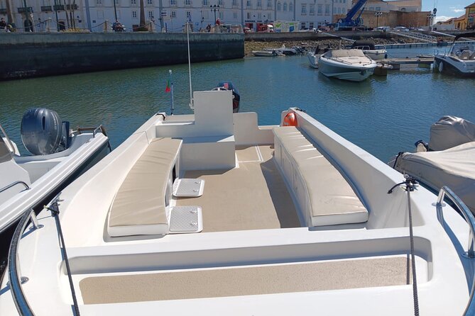 Dolphin Watching and Wildlife From Faro - Price and Cancellation Policy