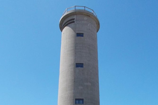 Dolphin Watching Around Cape May - Tour Capacity
