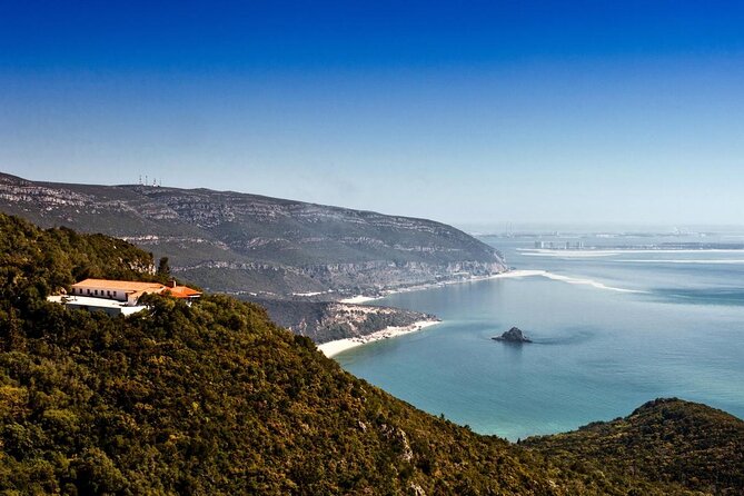 Dolphin Watching at the Arrabida (Lisbon Region) - Good To Know