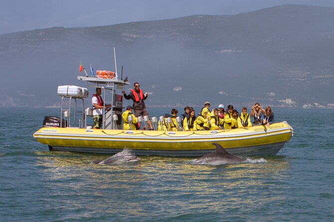 Dolphin Watching at the Arrabida (Lisbon Region) - Inclusions