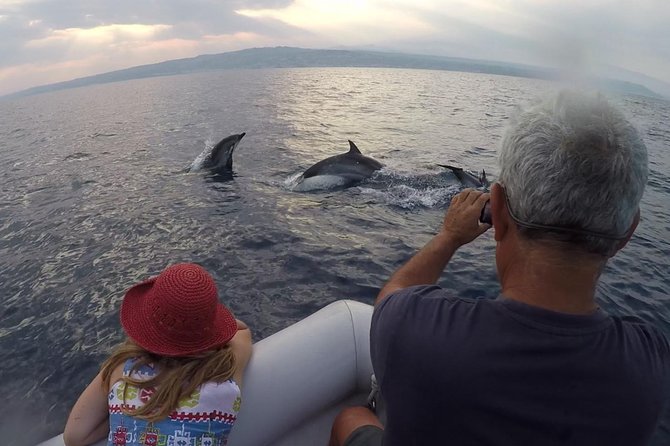 Dolphin Watching & Conservation - Dolphins in the Gulf of Catania - Observing Dolphins in Open Waters