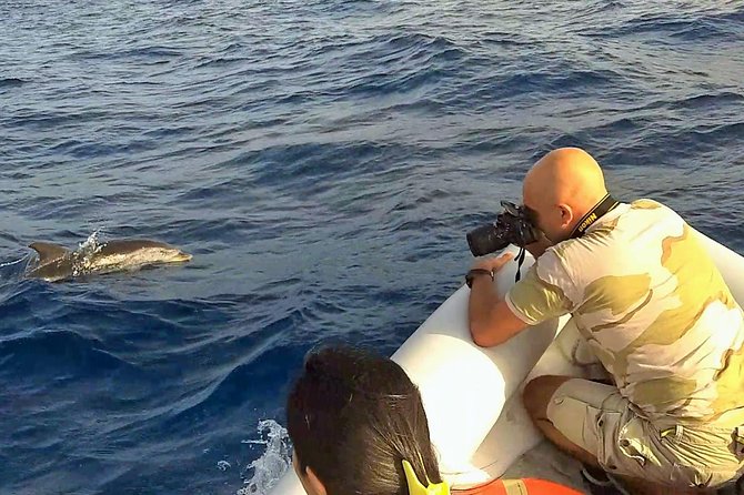 Dolphin Watching & Conservation - Dolphins in the Gulf of Catania - International Agreement for Conservation