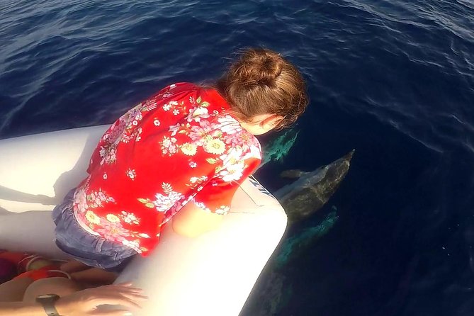 Dolphin Watching & Conservation - Dolphins in the Gulf of Catania - Informative Cetacean Briefing and Recognition