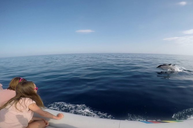 Dolphin Watching & Conservation - Dolphins in the Gulf of Catania - Meeting Point and Pickup Options