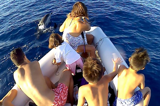 Dolphin Watching & Conservation - Dolphins in the Gulf of Catania - Tour Schedule and Booking Confirmation
