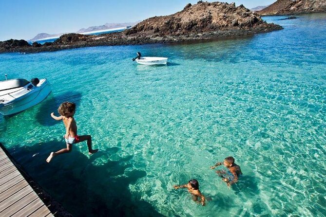Dolphin Watching Cruise to Lobos Island - Tour Overview and Highlights