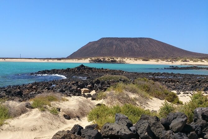 Dolphin Watching Cruise to Lobos Island - Pricing and Booking
