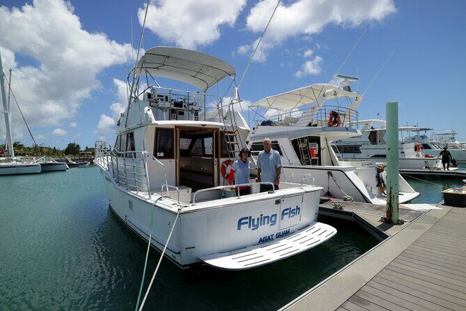 Dolphin Watching Cruise with Underwater Observatory Viewing - FAQ