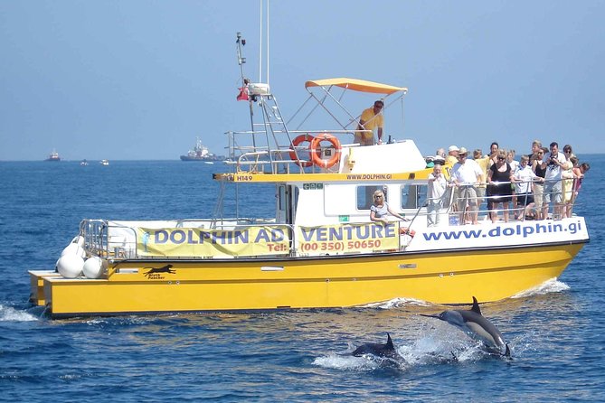 Dolphin Watching Excursion in Gibraltar - Exploring the Strait of Gibraltar