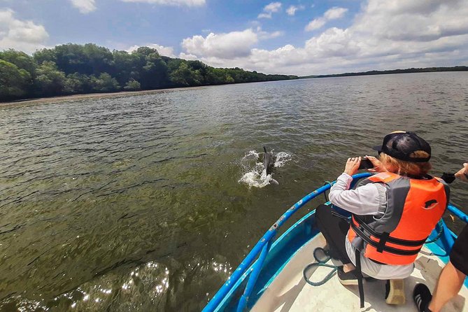 Dolphin Watching Experience in Puerto El Morro From Guayaquil - Inclusions