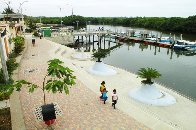 Dolphin Watching Experience in Puerto El Morro From Guayaquil - Dolphin Watching Experience