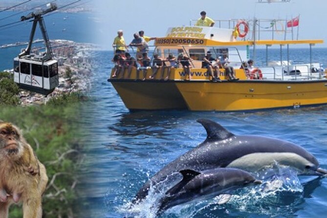 Dolphin Watching in Gibraltar & Fast Track Priority Cable Car - Departure and Meeting Point Details
