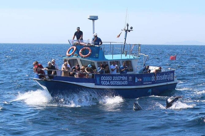 Dolphin Watching in Gibraltar With the Blue Boat Dolphin Safari - Cruise Duration and Group Size