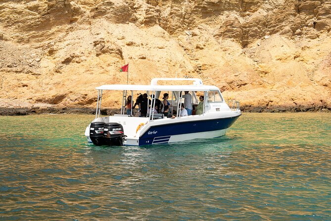 Dolphin Watching in Muscat - Highlights of the Activity