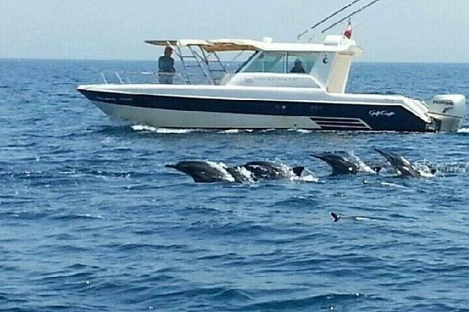 Dolphin Watching in Muscat - What to Expect on the Tour