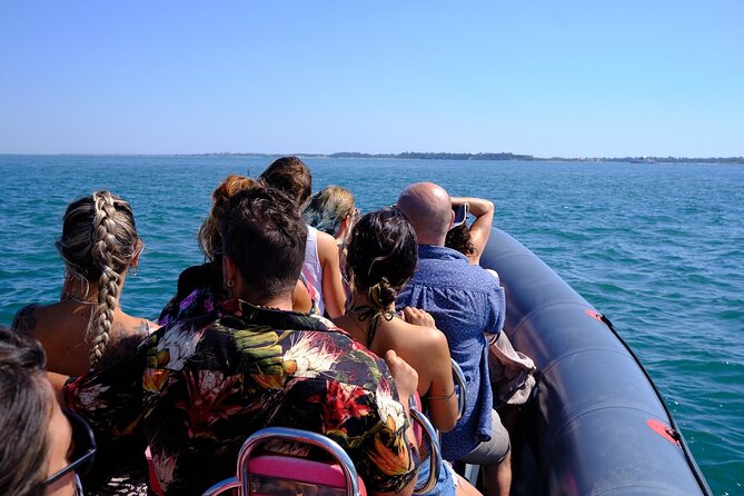 Dolphin Watching in Setúbal - Dolphin Observation Experience