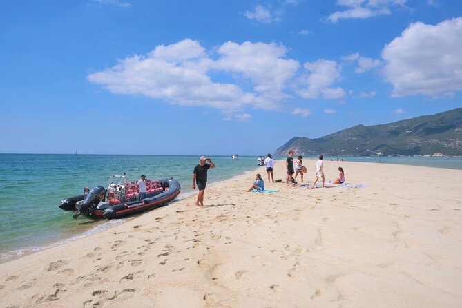 Dolphin Watching in Setúbal - Tour Inclusions and Exclusions