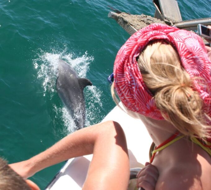 Dolphin Watching in the Wild - Half Day Private Tour - Pricing and Duration