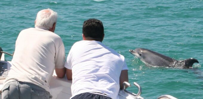 Dolphin Watching in the Wild - Half Day Private Tour - Location and Languages