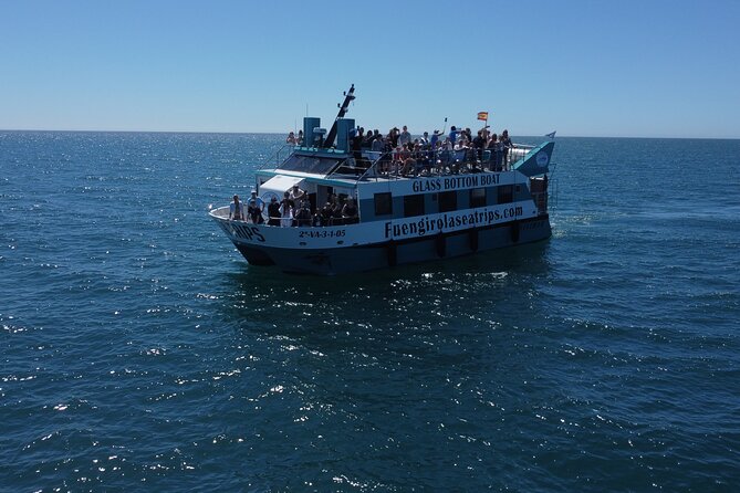 Dolphin Watching on a Catamaran in Fuengirola - About Your Stay