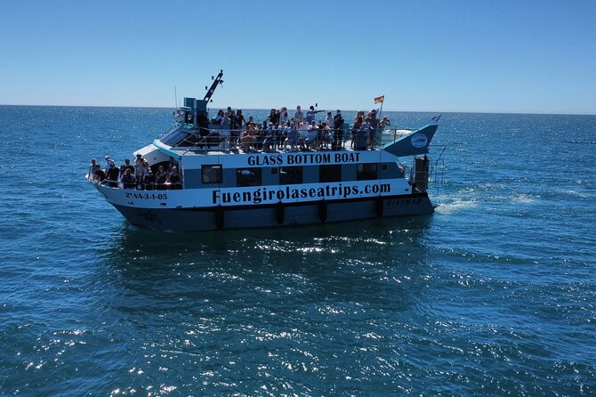 Dolphin Watching on a Catamaran in Fuengirola - Expectations and Experiences