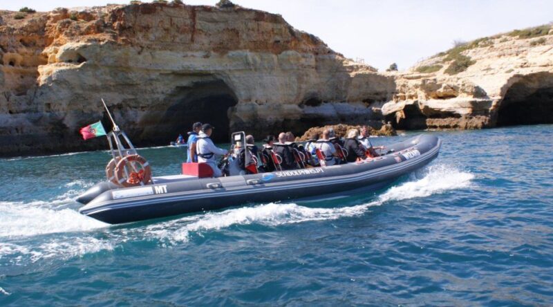 Dolphin Watching - Portimão - Key Points