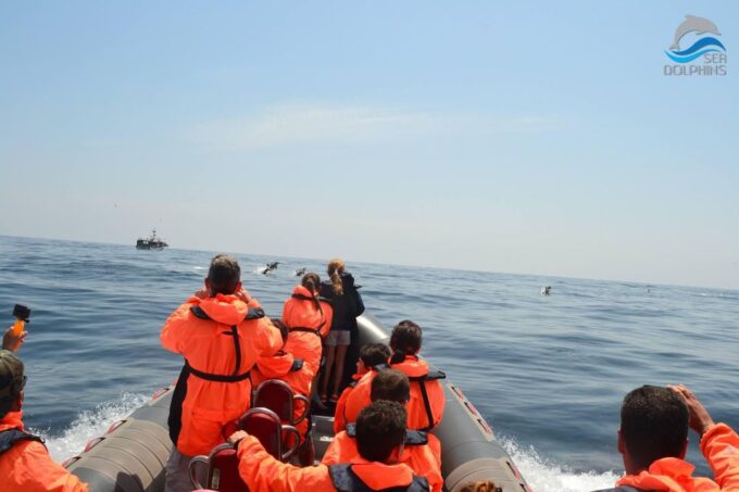 Dolphin Watching - Portimão - Frequently Asked Questions