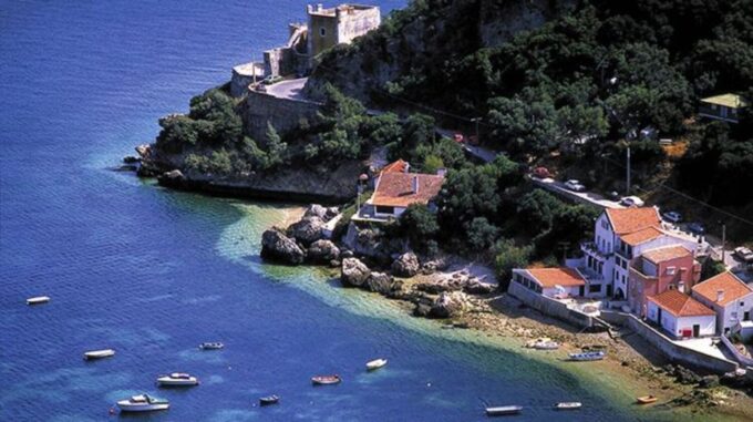 Dolphin Watching: Sesimbra / Arrábida Natural Park - Safety Measures
