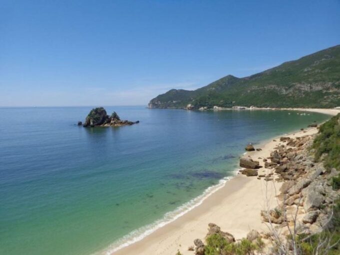 Dolphin Watching: Sesimbra / Arrábida Natural Park - Capturing Memories