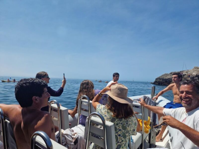 Dolphin Watching: Sesimbra / Arrábida Natural Park - Key Points