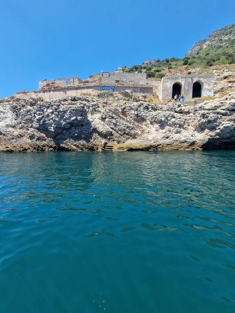 Dolphin Watching: Sesimbra / Arrábida Natural Park - Experience Highlights