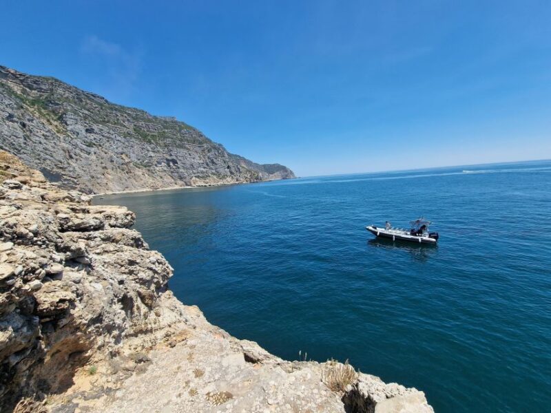 Dolphin Watching: Sesimbra / Arrábida Natural Park - Departure and Return