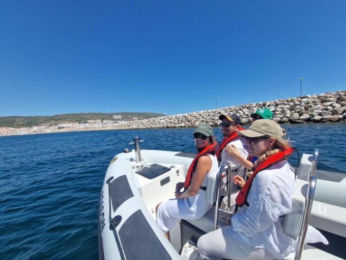 Dolphin Watching: Sesimbra / Arrábida Natural Park - Capturing Memories
