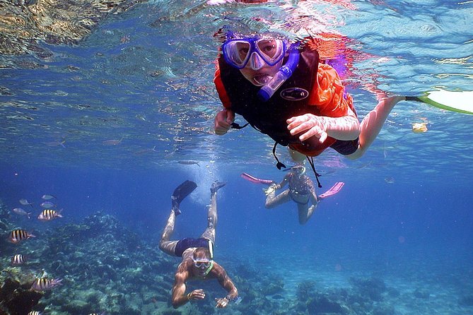 Dolphin Watching & Snorkeling - Additional Important Information