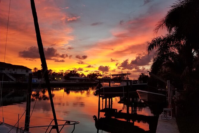 Dolphin Watching Sunset Cruise - Highlights of the Experience