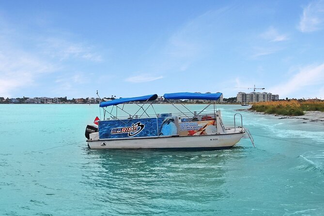 Dolphin Watching Sunset Cruise - Dolphin Watching Opportunities