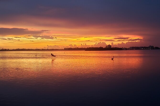 Dolphin Watching Sunset Cruise - Accessibility and Inclusivity
