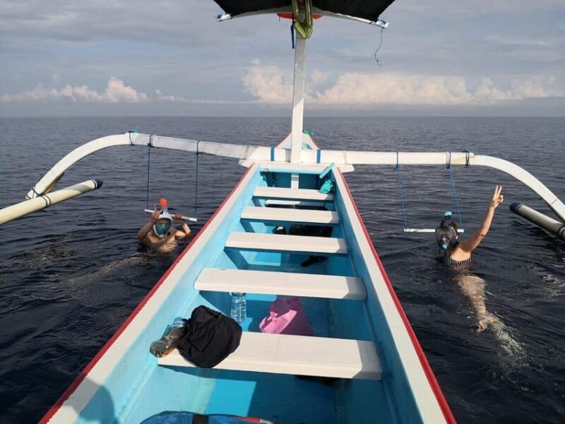 Dolphin Watching & Swimming Tours - Experience Highlights