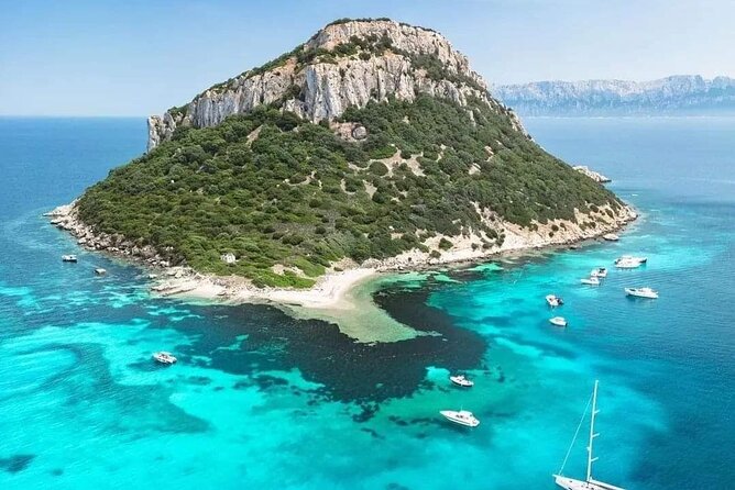 Dolphin Watching Tour With Snorkeling From Olbia - Restrictions and Accessibility